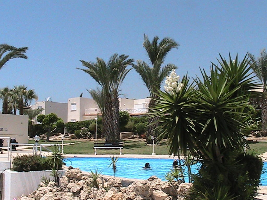 Happy Holiday Coral Bay Quarto foto